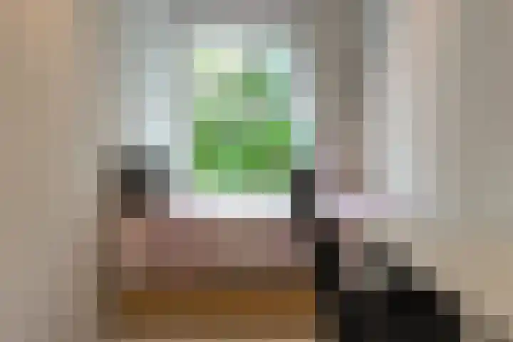 Balsemienlaan 22 Den Haag thumbnail 37