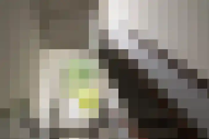 Balsemienlaan 22 Den Haag thumbnail 38