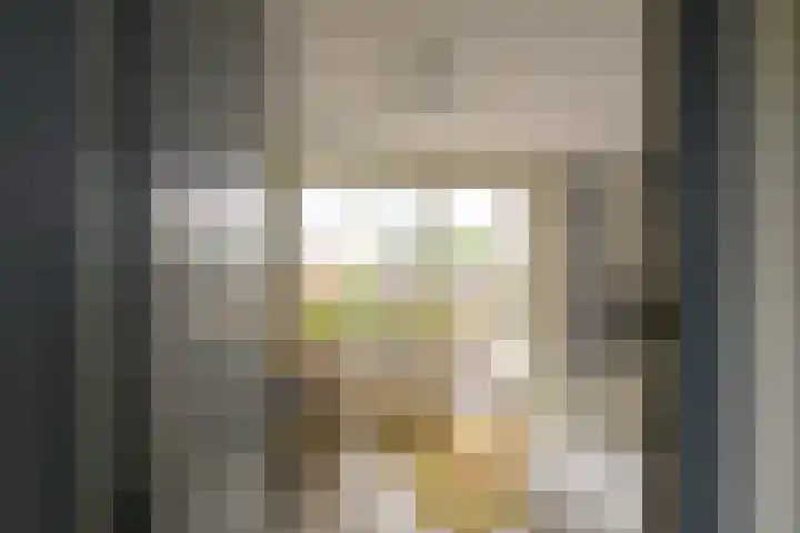 Balsemienlaan 22 Den Haag thumbnail 41