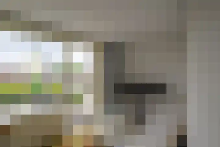 Balsemienlaan 22 Den Haag thumbnail 42
