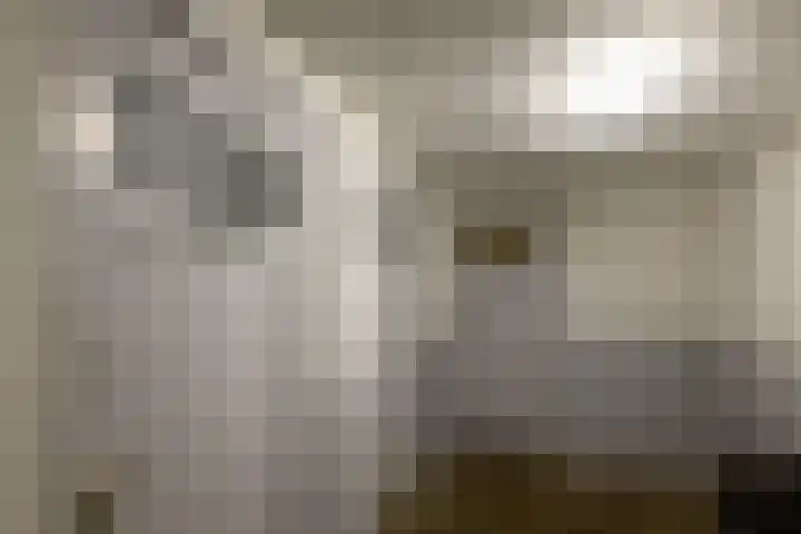 Balsemienlaan 22 Den Haag thumbnail 48