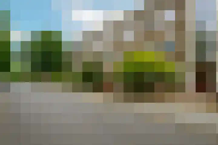 Balsemienlaan 22 Den Haag thumbnail 5