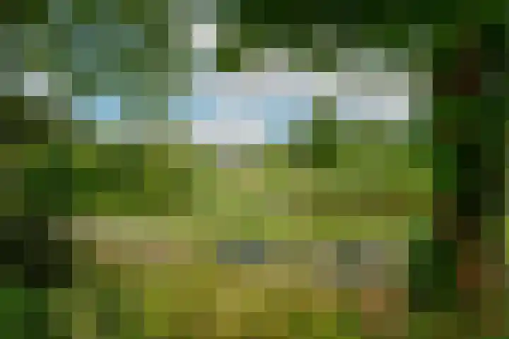 Balsemienlaan 22 Den Haag thumbnail 50