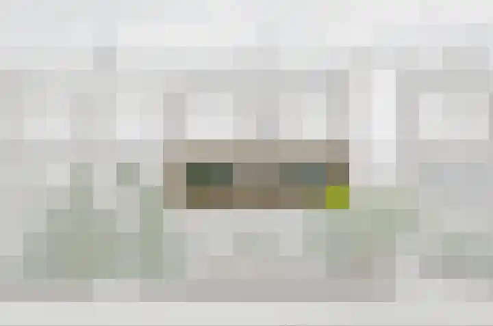 Balsemienlaan 22 Den Haag thumbnail 51