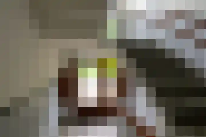Balsemienlaan 22 Den Haag thumbnail 8