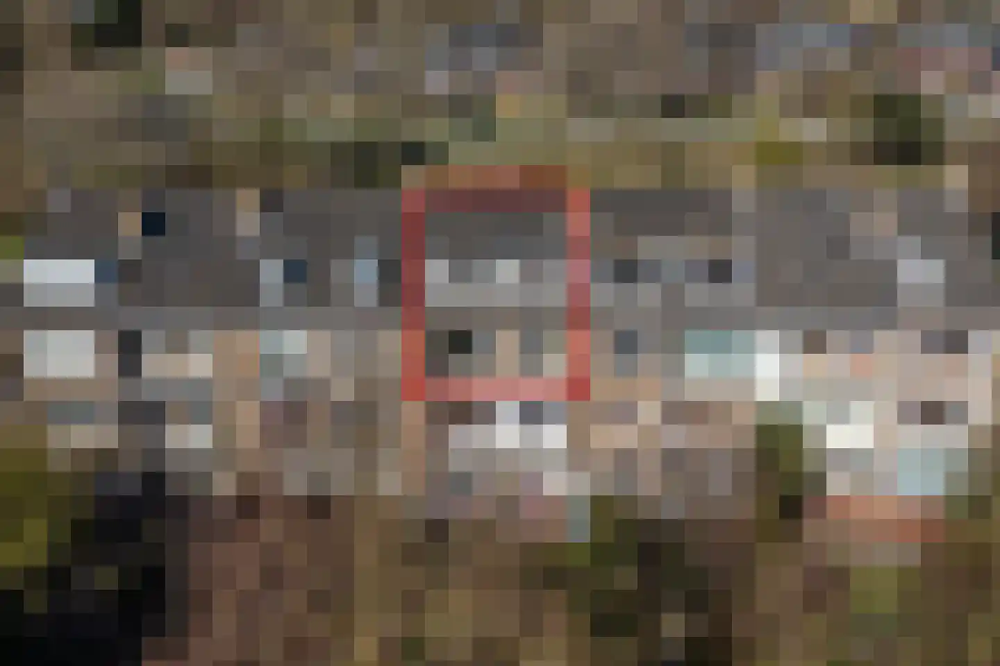 Balsemienlaan 230 Den Haag thumbnail 24