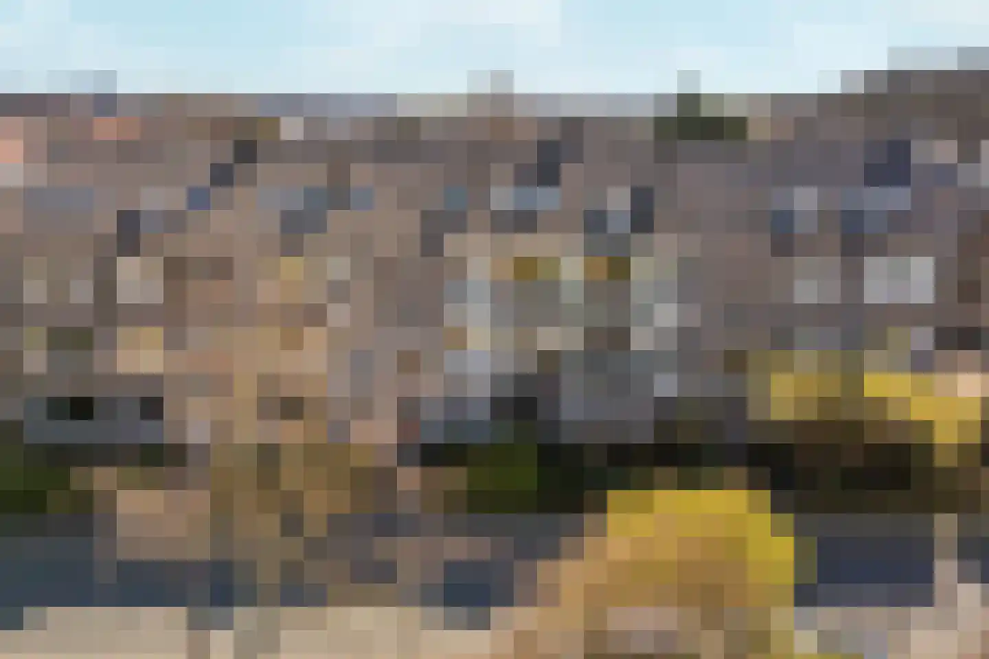 Balsemienlaan 230 Den Haag thumbnail 25