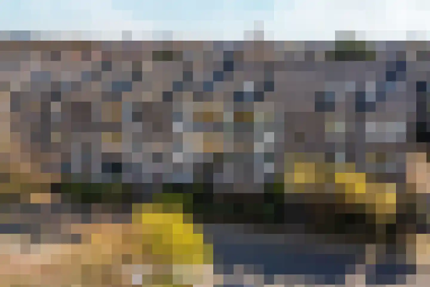 Balsemienlaan 230 Den Haag thumbnail 26