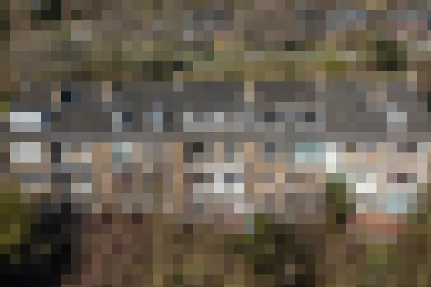 Balsemienlaan 230 Den Haag thumbnail 62