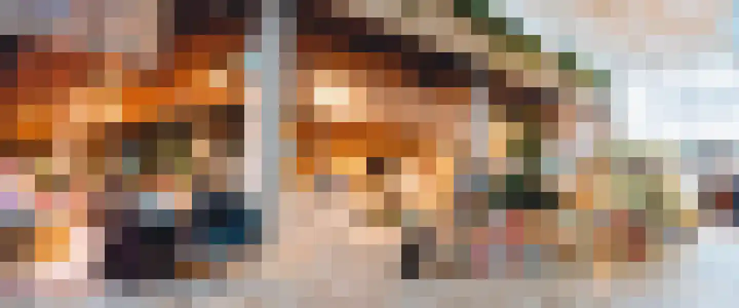 Balsemienlaan 230 Den Haag thumbnail 69
