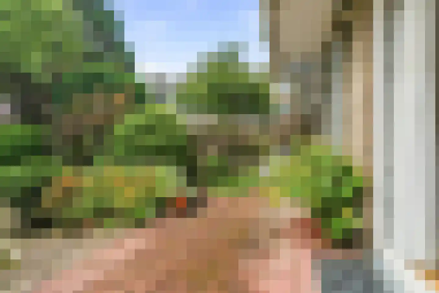 Balsemienlaan 232 Den Haag thumbnail 18
