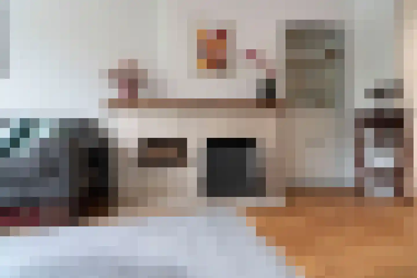 Balsemienlaan 232 Den Haag thumbnail 33