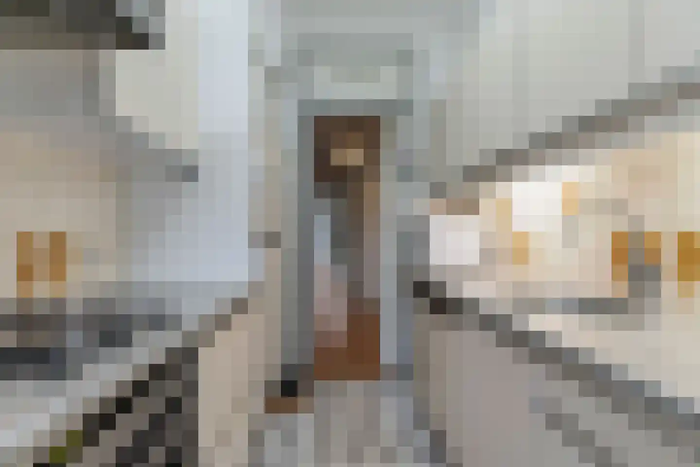 Balsemienlaan 232 Den Haag thumbnail 47
