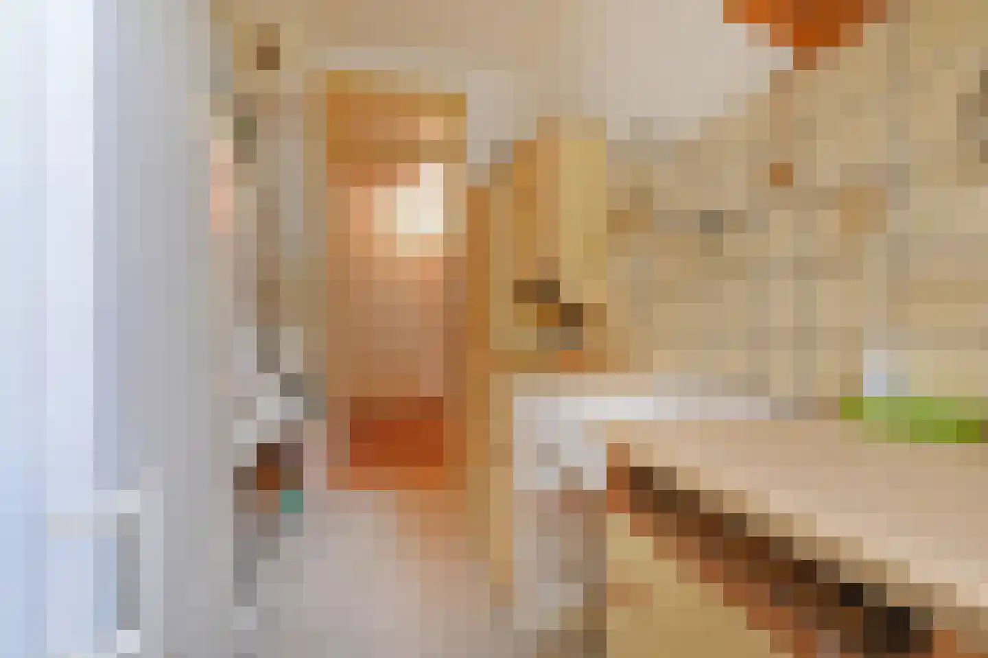 Balsemienlaan 238 Den Haag thumbnail 17