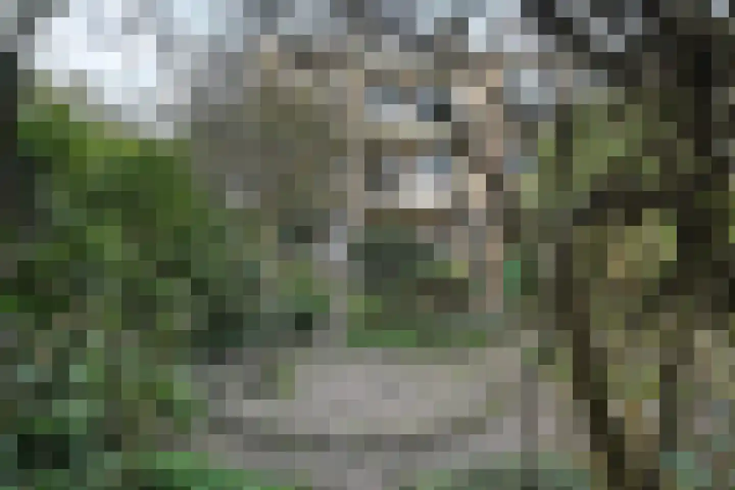 Balsemienlaan 238 Den Haag thumbnail 21
