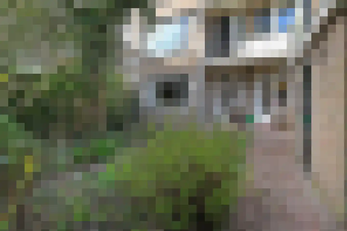 Balsemienlaan 238 Den Haag thumbnail 23