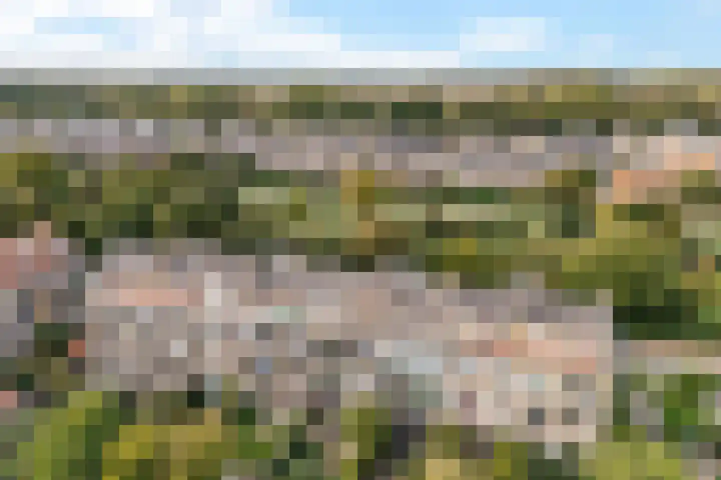 Balsemienlaan 74 Den Haag thumbnail 12