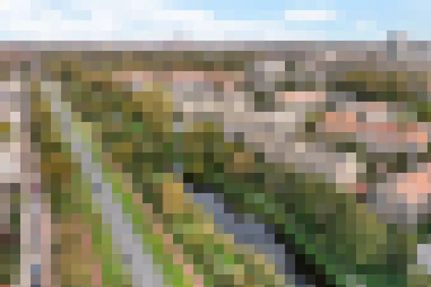 Balsemienlaan 74 Den Haag thumbnail 13
