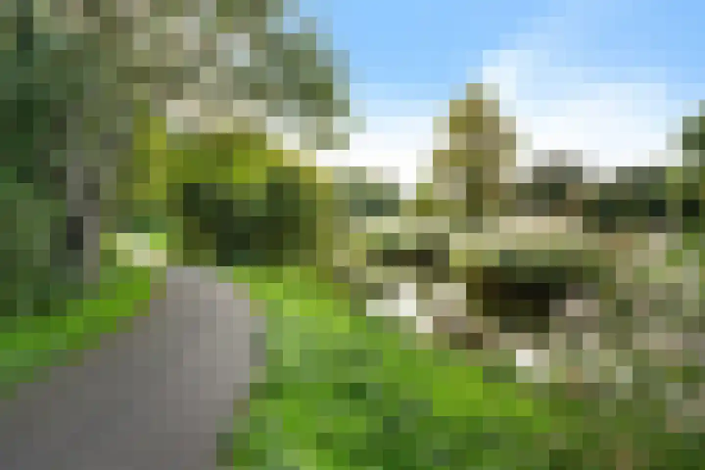 Balsemienlaan 74 Den Haag thumbnail 17