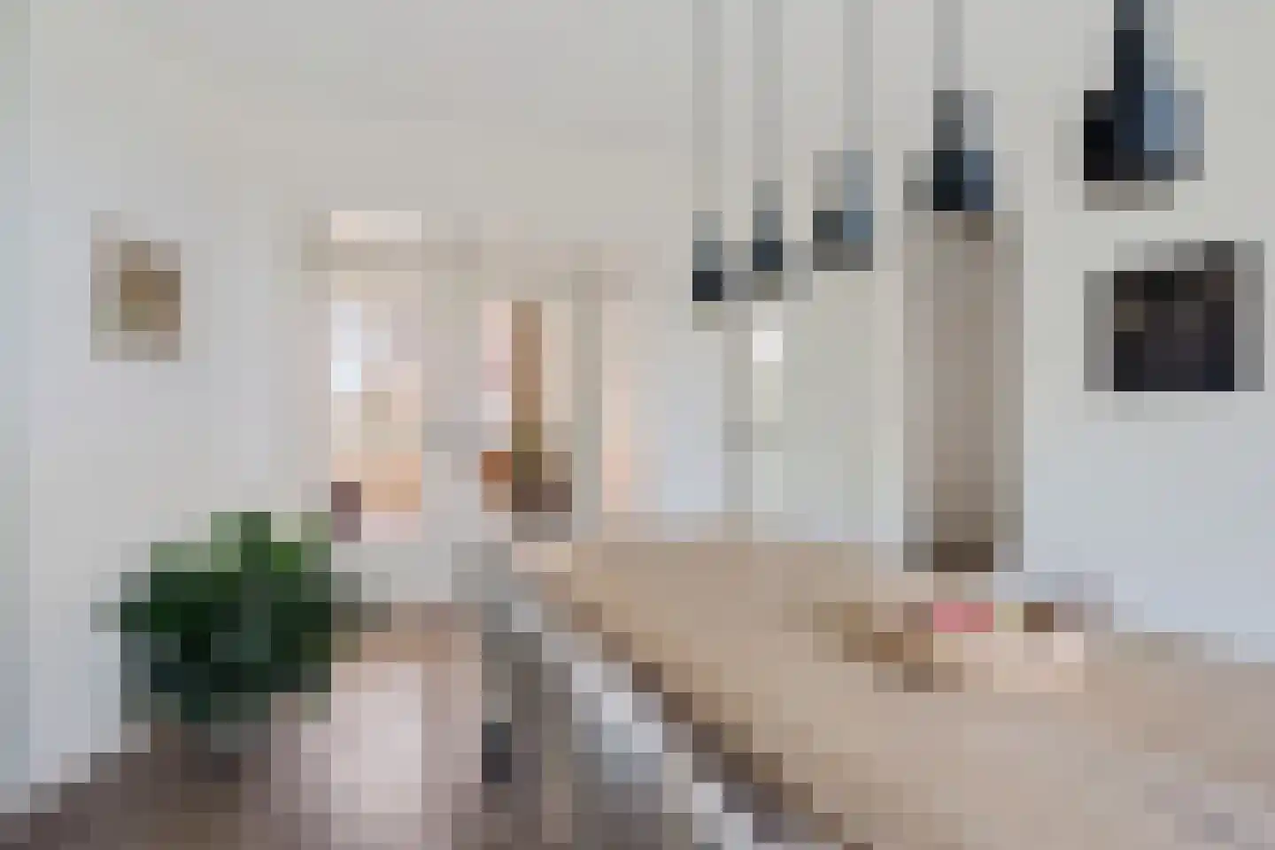 Balsemienlaan 74 Den Haag thumbnail 33