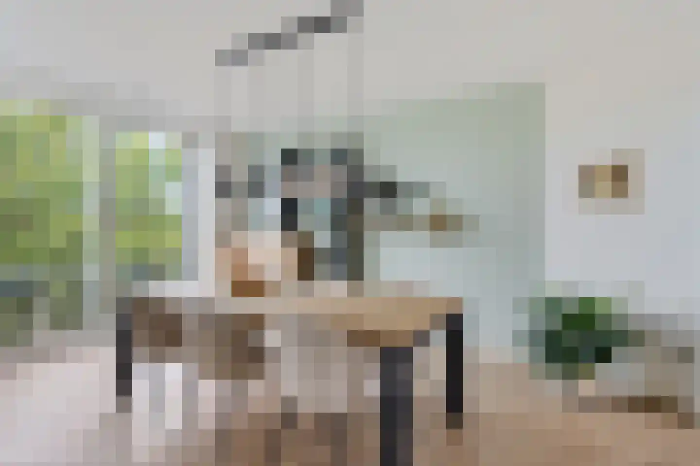 Balsemienlaan 74 Den Haag thumbnail 34