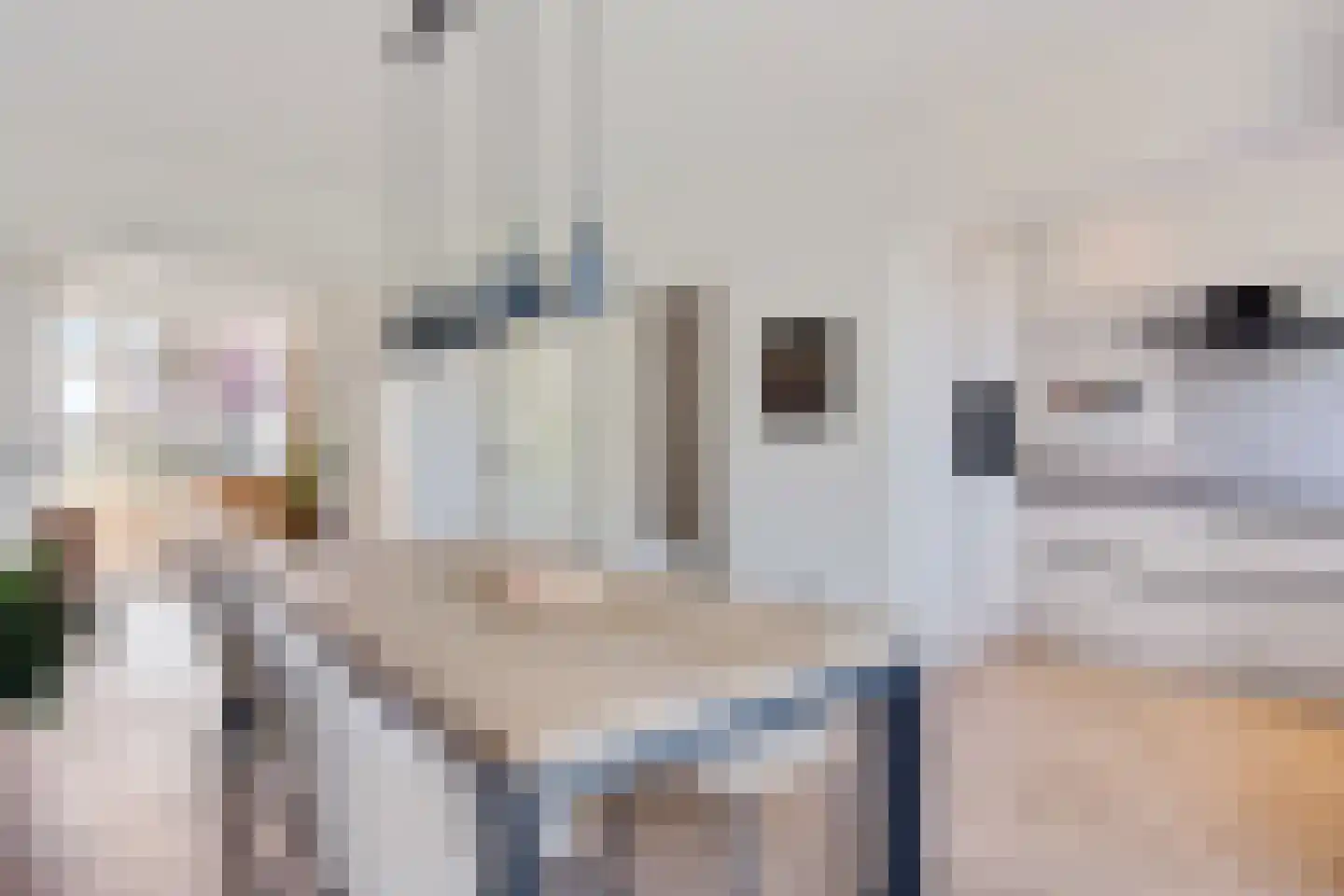 Balsemienlaan 74 Den Haag thumbnail 35