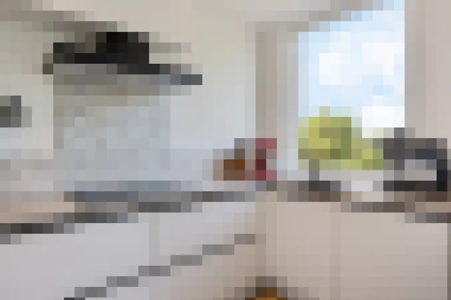 Balsemienlaan 74 Den Haag thumbnail 38