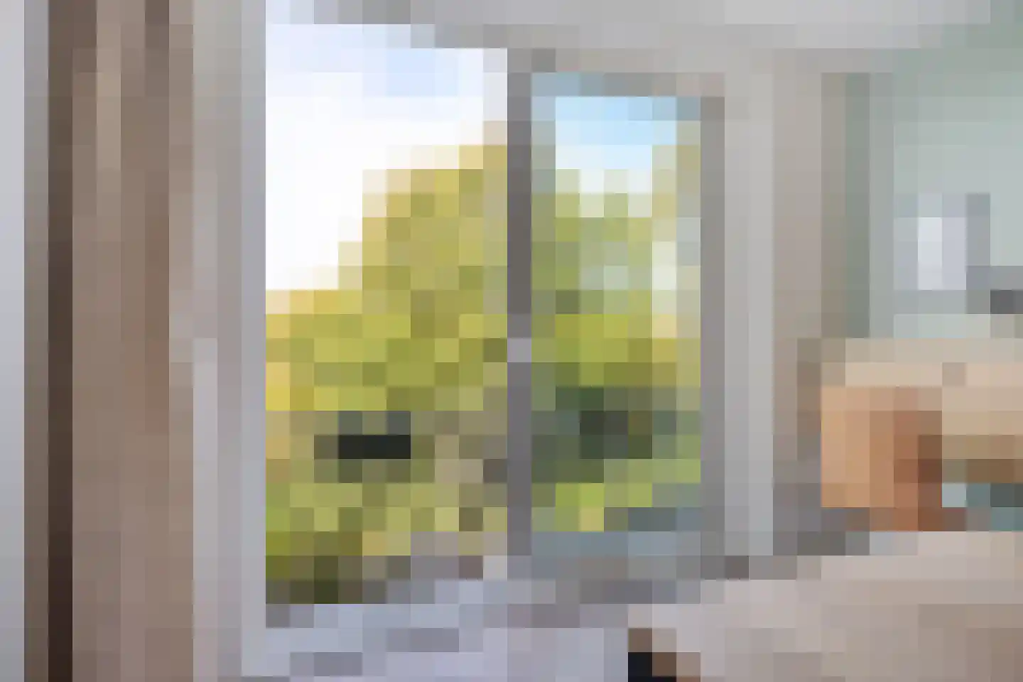 Balsemienlaan 74 Den Haag thumbnail 39