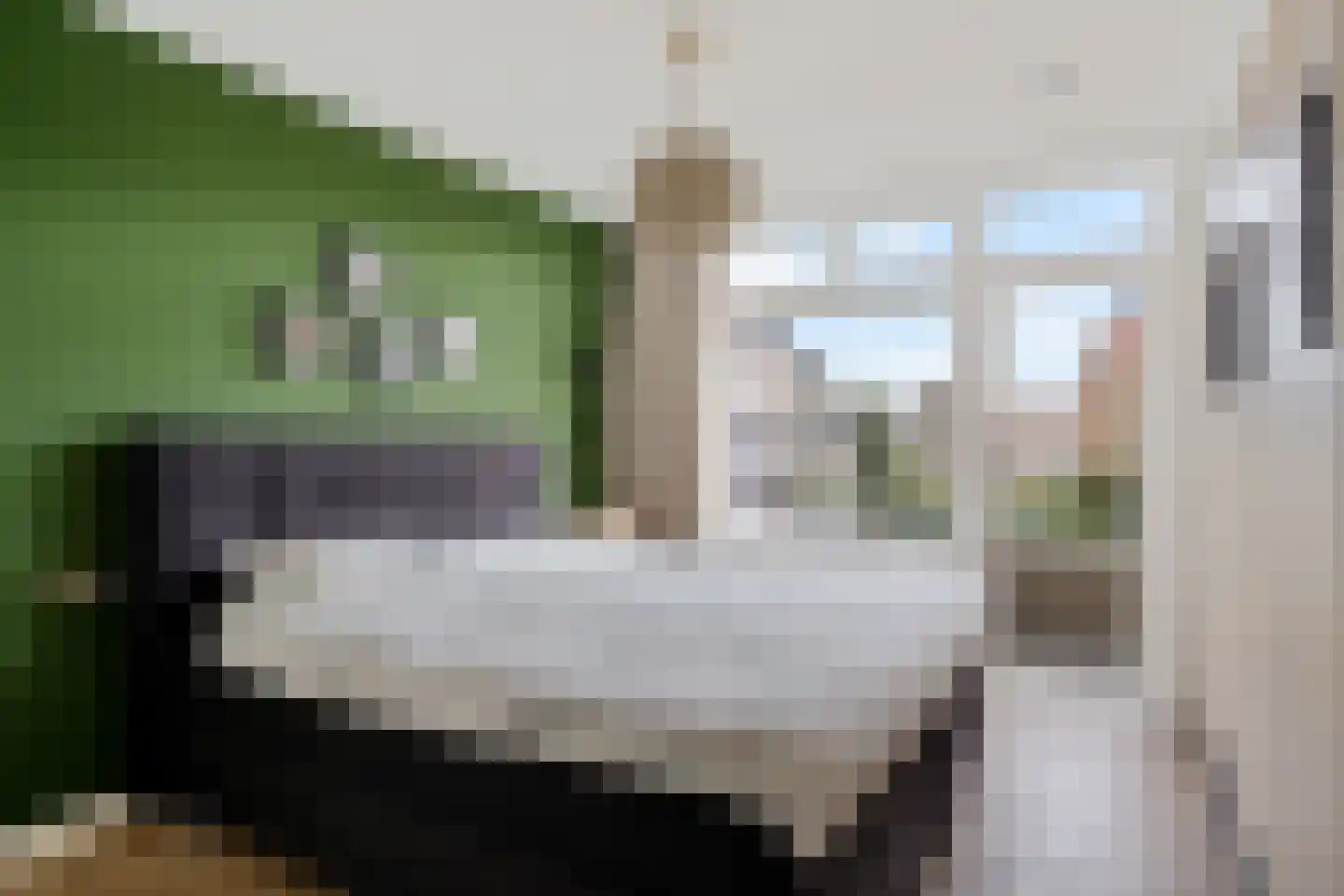 Balsemienlaan 74 Den Haag thumbnail 42
