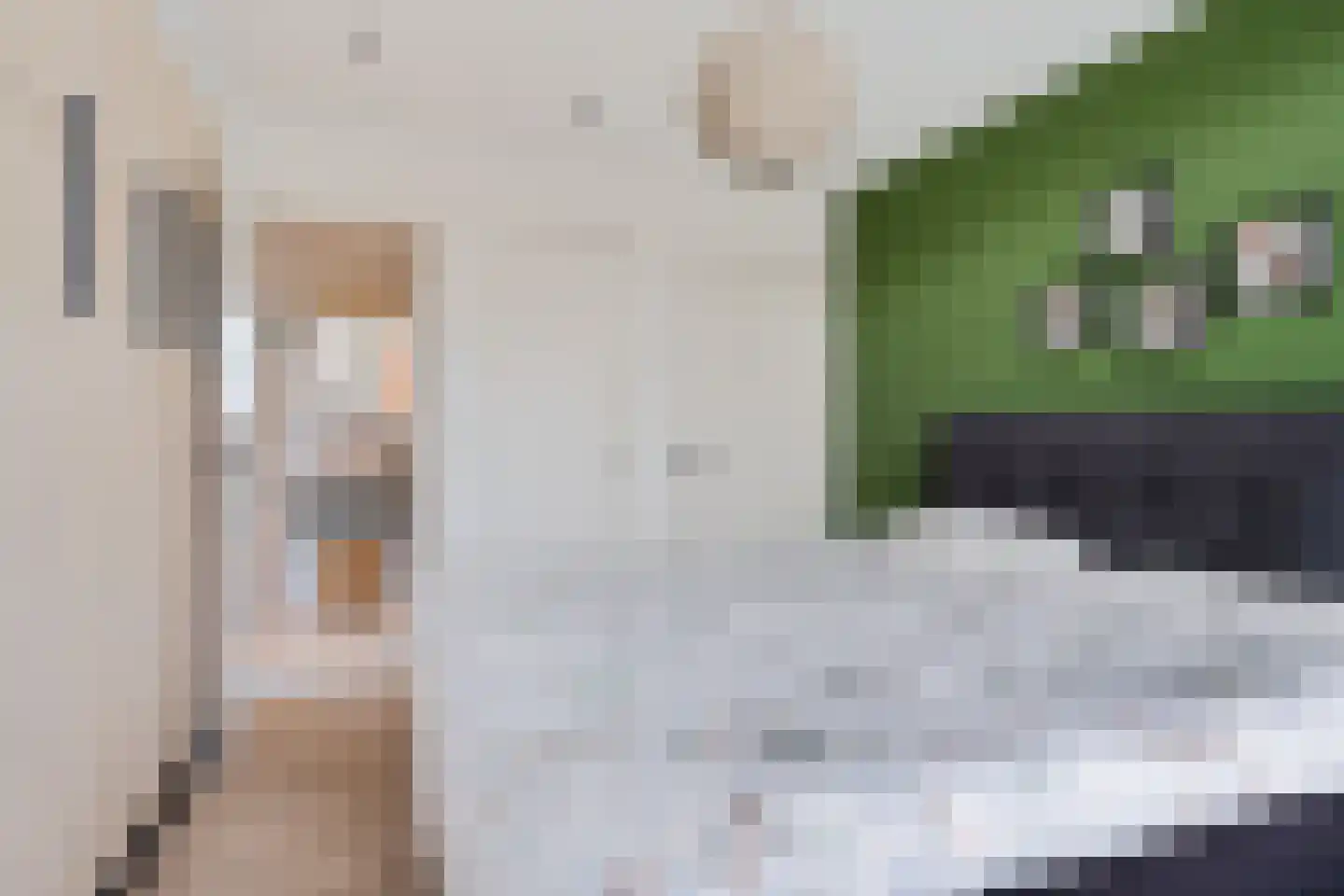 Balsemienlaan 74 Den Haag thumbnail 43