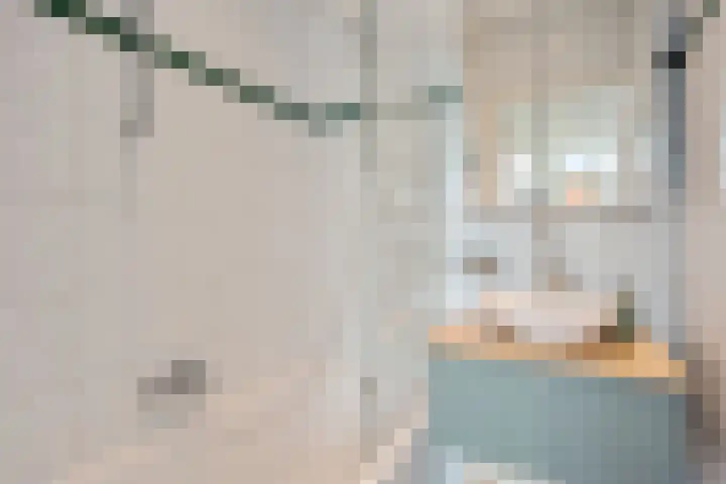 Balsemienlaan 74 Den Haag thumbnail 44