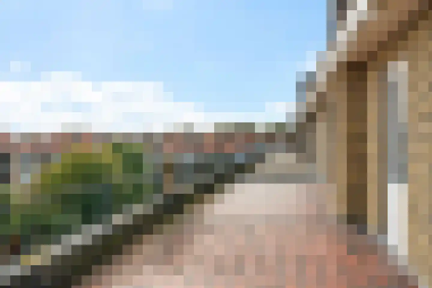 Balsemienlaan 74 Den Haag thumbnail 52