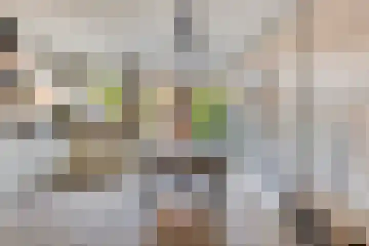 Balsemienplein 13 Eindhoven thumbnail 10