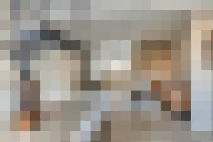Balsemienplein 13 Eindhoven thumbnail 11