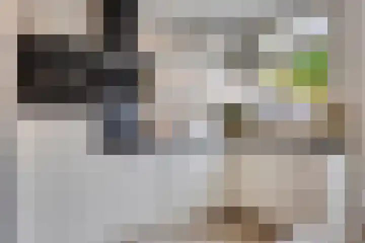 Balsemienplein 13 Eindhoven thumbnail 12