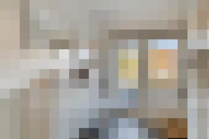 Balsemienplein 13 Eindhoven thumbnail 17
