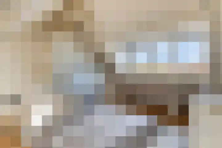 Balsemienplein 13 Eindhoven thumbnail 20