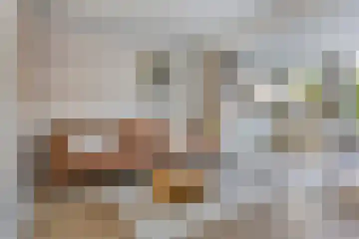 Balsemienplein 13 Eindhoven thumbnail 7