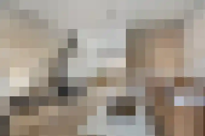 Balsemienplein 13 Eindhoven thumbnail 8