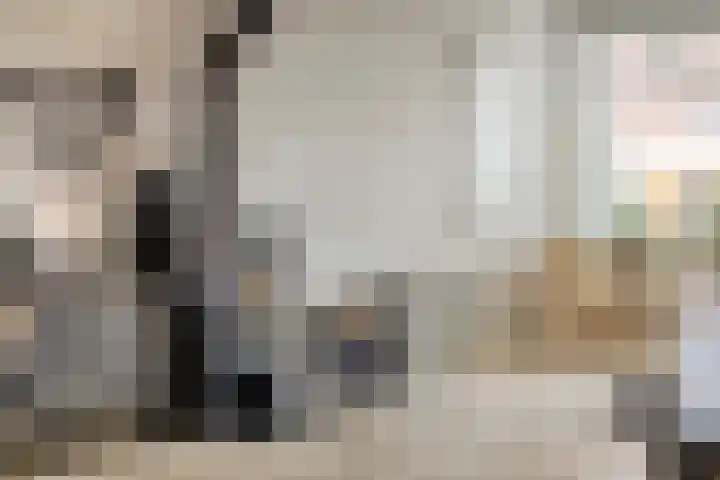 Balsemienplein 13 Eindhoven thumbnail 9