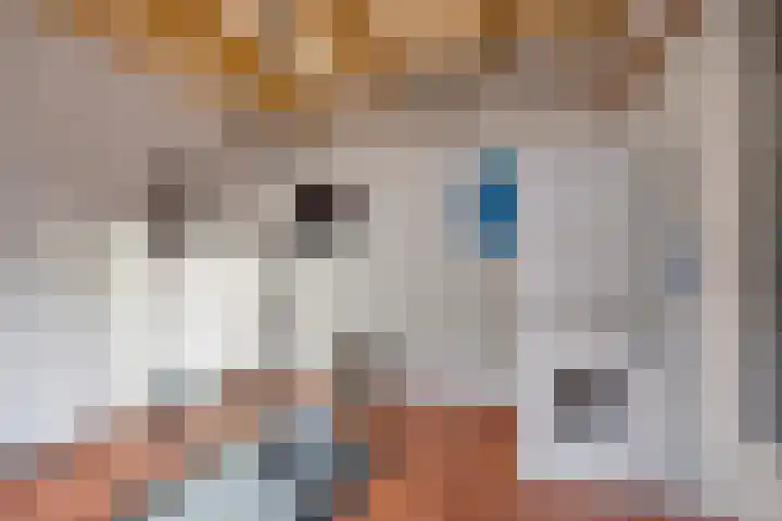 Balsemienplein 7 Eindhoven thumbnail 19