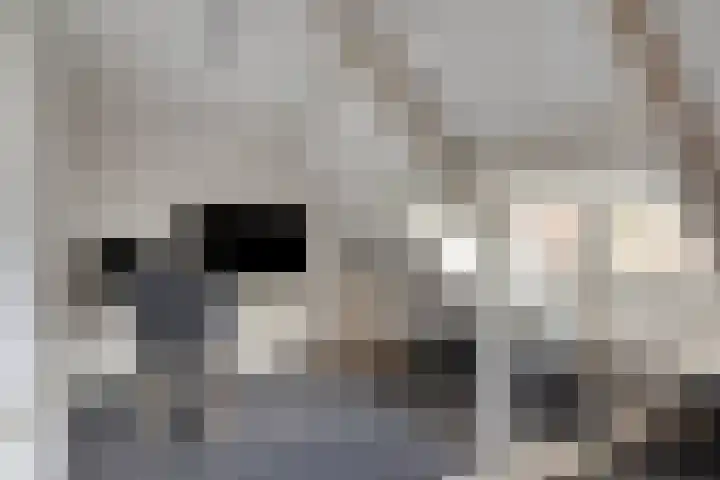 Balsemienplein 7 Eindhoven thumbnail 32