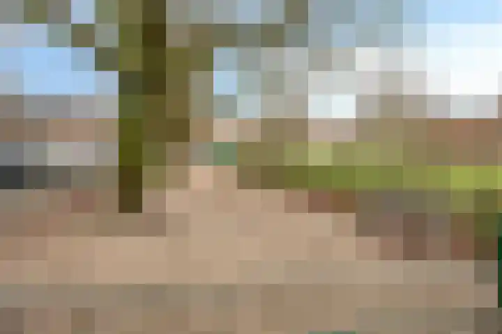 Balsemienplein 7 Eindhoven thumbnail 38