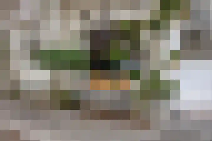 Balsemienplein 7 Eindhoven thumbnail 5