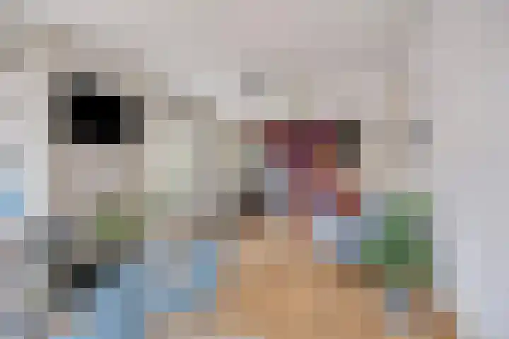Balsemienplein 7 Eindhoven thumbnail 7