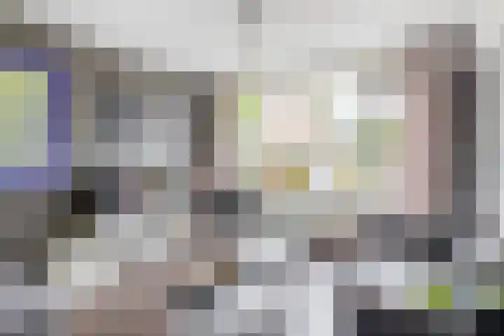 Balsemkruid 15 Rotterdam thumbnail 10