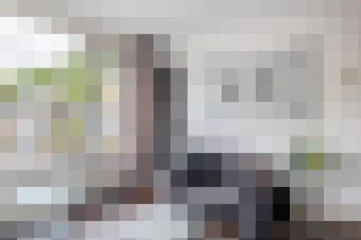 Balsemkruid 15 Rotterdam thumbnail 11