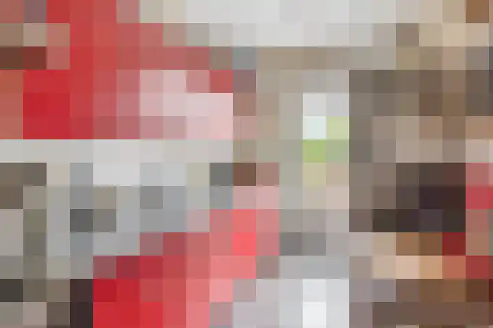 Balsemkruid 15 Rotterdam thumbnail 16