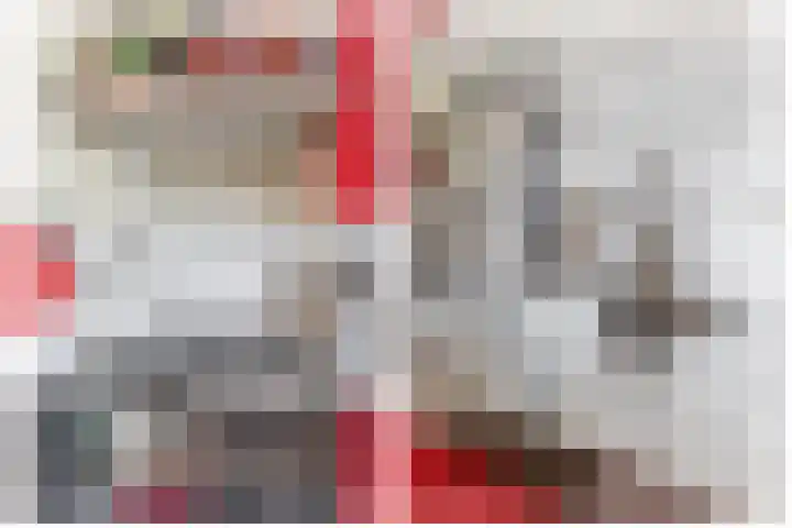 Balsemkruid 15 Rotterdam thumbnail 17