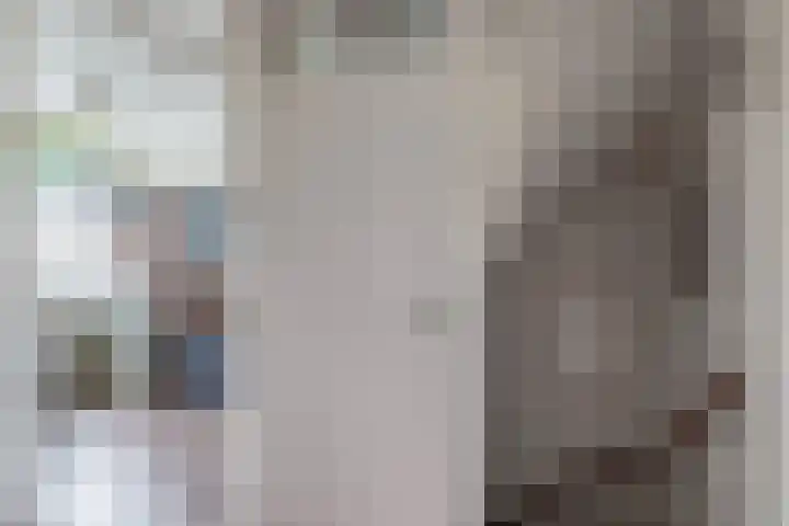 Balsemkruid 15 Rotterdam thumbnail 19